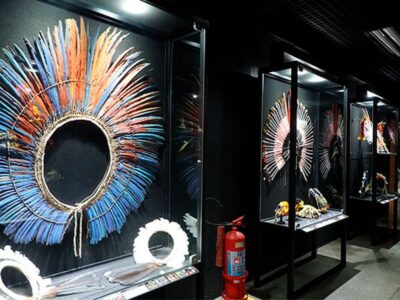 Venha viver o mais completo passeio na Amazônia